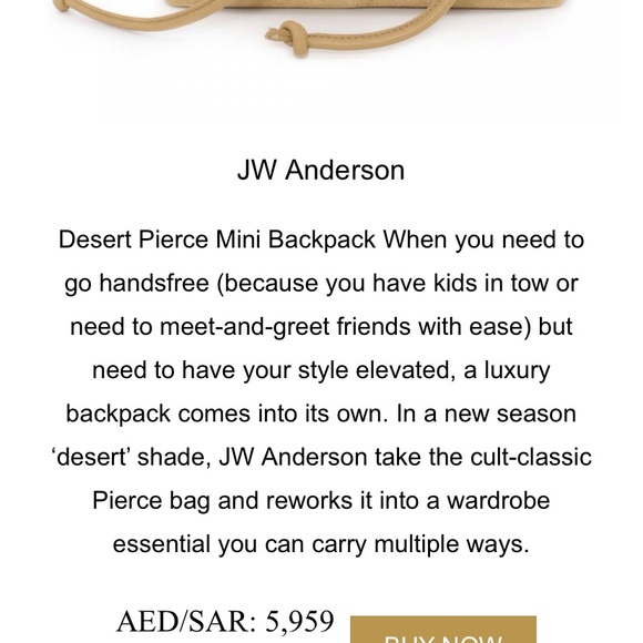 JW ANDERSON Tan Backpack with Gold Accents - Picture 3 of 16